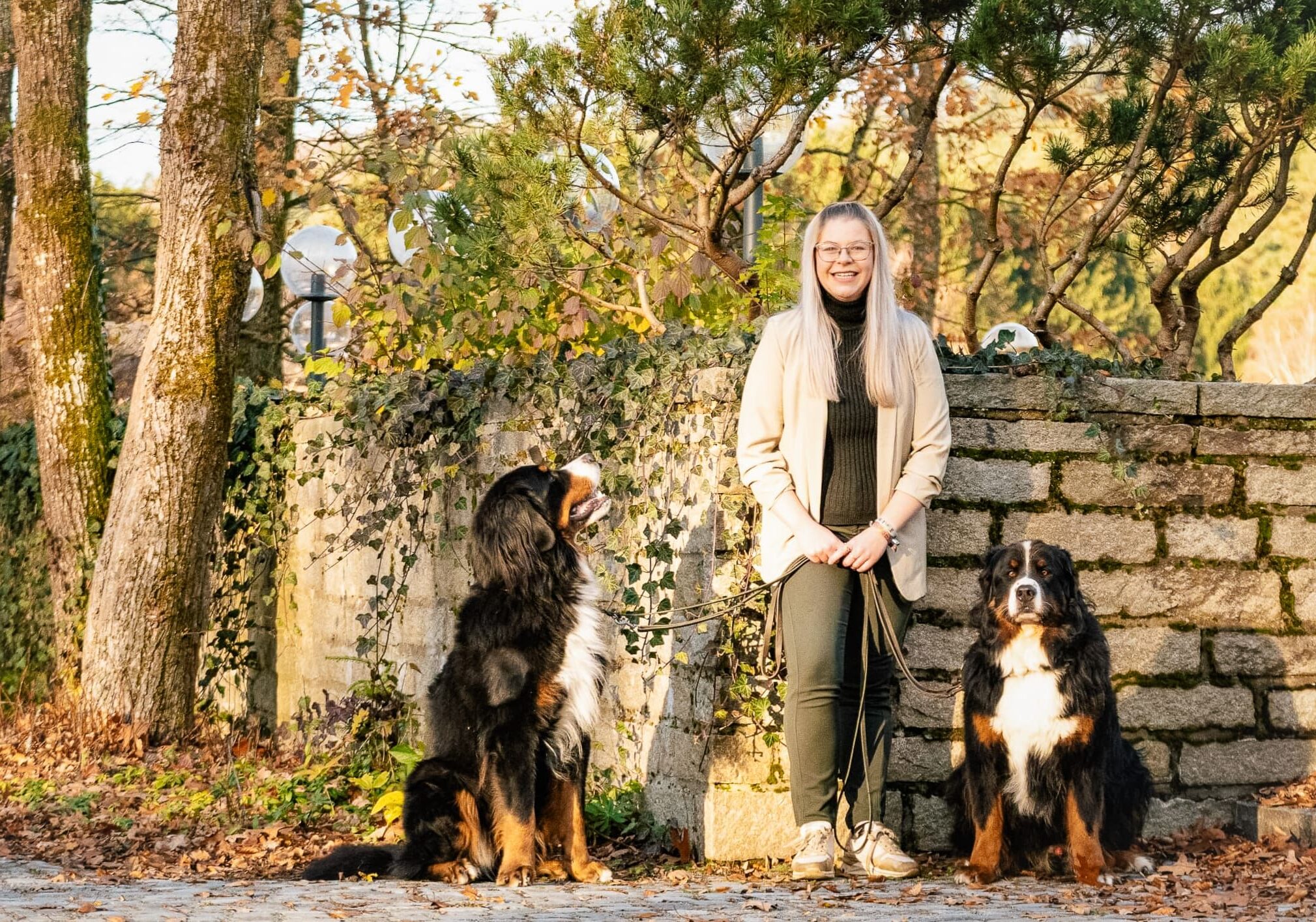 Hundeschule Passau